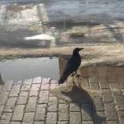 ヒメ日記 2026/01/11 10:51 投稿 くれは お姉さんSelect