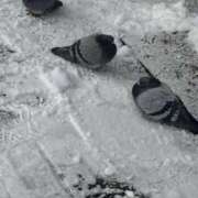 ヒメ日記 2026/01/13 14:16 投稿 くれは お姉さんSelect