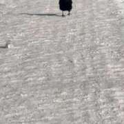 ヒメ日記 2026/01/16 12:46 投稿 くれは お姉さんSelect