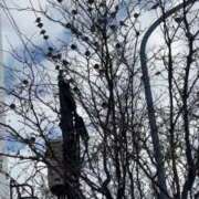 ヒメ日記 2026/01/23 20:46 投稿 くれは お姉さんSelect