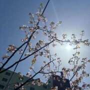 ヒメ日記 2026/04/20 17:51 投稿 くれは お姉さんSelect