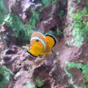 ヒメ日記 2025/08/25 19:45 投稿 みれい★究極淫乱！ドM看護師★ Bell～S級美女お姉様・人妻デリヘル～