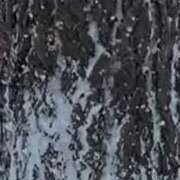 ヒメ日記 2026/01/26 09:45 投稿 やどく ドMなバニーちゃん すすきの店