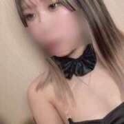 ヒメ日記 2026/02/17 23:45 投稿 やどく ドMなバニーちゃん すすきの店