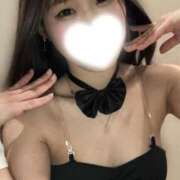 やどく 根は真面目ﾁｬﾝです🤫 ドMなバニーちゃん すすきの店