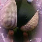 ヒメ日記 2025/06/13 03:03 投稿 ナツミ ドMなバニーちゃん すすきの店