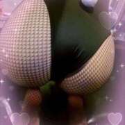 ヒメ日記 2025/10/12 15:05 投稿 ナツミ ドMなバニーちゃん すすきの店