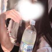 ヒメ日記 2025/07/20 05:47 投稿 みのり 三つ乱本館