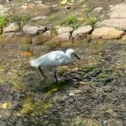 ヒメ日記 2025/09/12 15:47 投稿 みのり 三つ乱本館