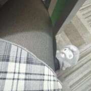 ヒメ日記 2026/03/03 08:57 投稿 みのり 三つ乱本館