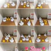 ヒメ日記 2025/05/12 08:04 投稿 すずね 上野回春性感マッサージ倶楽部