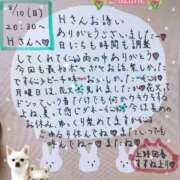 ヒメ日記 2025/08/12 18:44 投稿 すずね 上野回春性感マッサージ倶楽部
