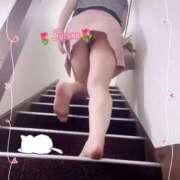 ヒメ日記 2025/08/19 22:39 投稿 すずね 上野回春性感マッサージ倶楽部