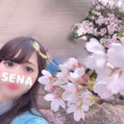 ヒメ日記 2025/04/03 06:30 投稿 せな Candy×Candy （キャンディ×キャンディ）