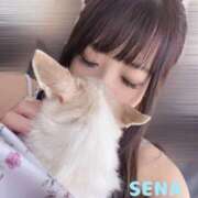 ヒメ日記 2025/09/07 20:01 投稿 せな Candy×Candy （キャンディ×キャンディ）