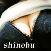 ヒメ日記 2025/05/10 14:03 投稿 庵野しのぶ 性感回春アロマSPA金沢店