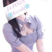 ヒメ日記 2025/02/06 19:26 投稿 小雪(こゆき) ルピナス