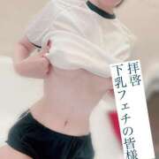 ヒメ日記 2025/02/11 23:35 投稿 小雪(こゆき) ルピナス