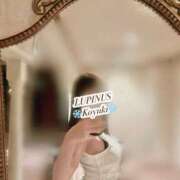 ヒメ日記 2025/02/22 09:26 投稿 小雪(こゆき) ルピナス