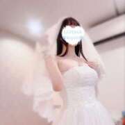 ヒメ日記 2025/03/04 11:57 投稿 小雪(こゆき) ルピナス