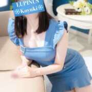 ヒメ日記 2025/03/06 09:52 投稿 小雪(こゆき) ルピナス