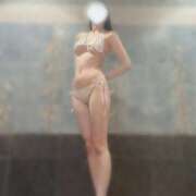 ヒメ日記 2025/04/17 09:16 投稿 小雪(こゆき) ルピナス