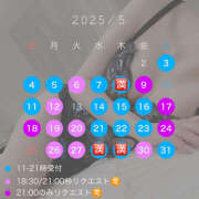 ヒメ日記 2025/05/03 09:22 投稿 小雪(こゆき) ルピナス