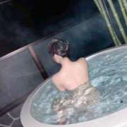 ヒメ日記 2025/10/11 17:26 投稿 小雪(こゆき) ルピナス