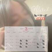 ヒメ日記 2025/03/08 15:52 投稿 りおまる パリス雄琴店