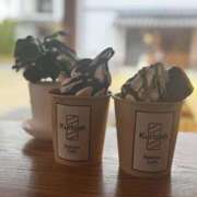 ヒメ日記 2025/06/11 10:09 投稿 ふわり しろうとCollection