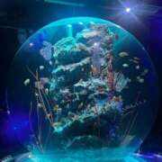 ヒメ日記 2025/06/14 10:01 投稿 ふわり しろうとCollection