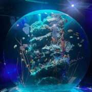 ヒメ日記 2025/06/14 10:17 投稿 ふわり しろうとCollection