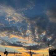 ヒメ日記 2025/07/31 09:37 投稿 ふわり しろうとCollection