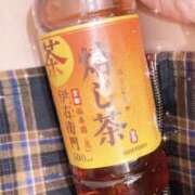 ヒメ日記 2025/02/03 17:33 投稿 かりな スピード日本橋店