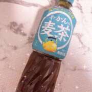 ヒメ日記 2025/03/18 07:27 投稿 かりな スピード日本橋店