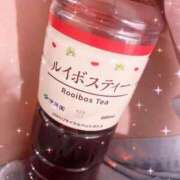 ヒメ日記 2025/09/12 00:07 投稿 かりな スピード日本橋店