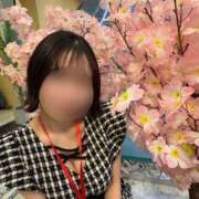 ヒメ日記 2025/04/22 15:45 投稿 さくらこ ビギナーズ神戸