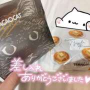 ヒメ日記 2025/11/06 11:15 投稿 いおり 秋葉原 添い寝女子