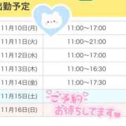 ヒメ日記 2025/11/10 11:01 投稿 いおり 秋葉原 添い寝女子