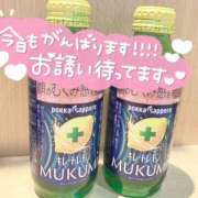 ヒメ日記 2026/02/07 11:24 投稿 いおり 秋葉原 添い寝女子