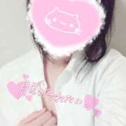 ヒメ日記 2026/02/10 10:35 投稿 いおり 秋葉原 添い寝女子