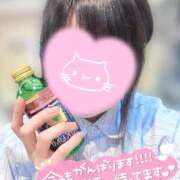 ヒメ日記 2026/03/20 10:05 投稿 いおり 秋葉原 添い寝女子