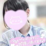 ヒメ日記 2026/04/28 11:23 投稿 いおり 秋葉原 添い寝女子