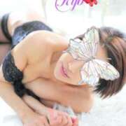 ヒメ日記 2025/11/14 12:31 投稿 富永りょう プレジデントハウス