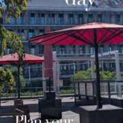 ヒメ日記 2025/11/17 22:01 投稿 富永りょう プレジデントハウス