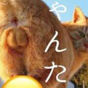 ヒメ日記 2025/02/20 16:15 投稿 みれい 奥様鉄道69 東京店