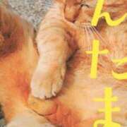 ヒメ日記 2025/02/26 20:25 投稿 みれい 奥様鉄道69 東京店