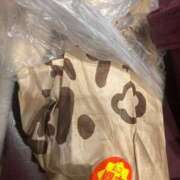 ヒメ日記 2025/04/02 21:15 投稿 みれい 奥様鉄道69 東京店