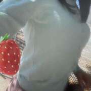 ヒメ日記 2025/04/17 19:45 投稿 みれい 奥様鉄道69 東京店