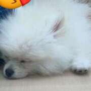 ヒメ日記 2025/05/31 20:25 投稿 みれい 奥様鉄道69 東京店